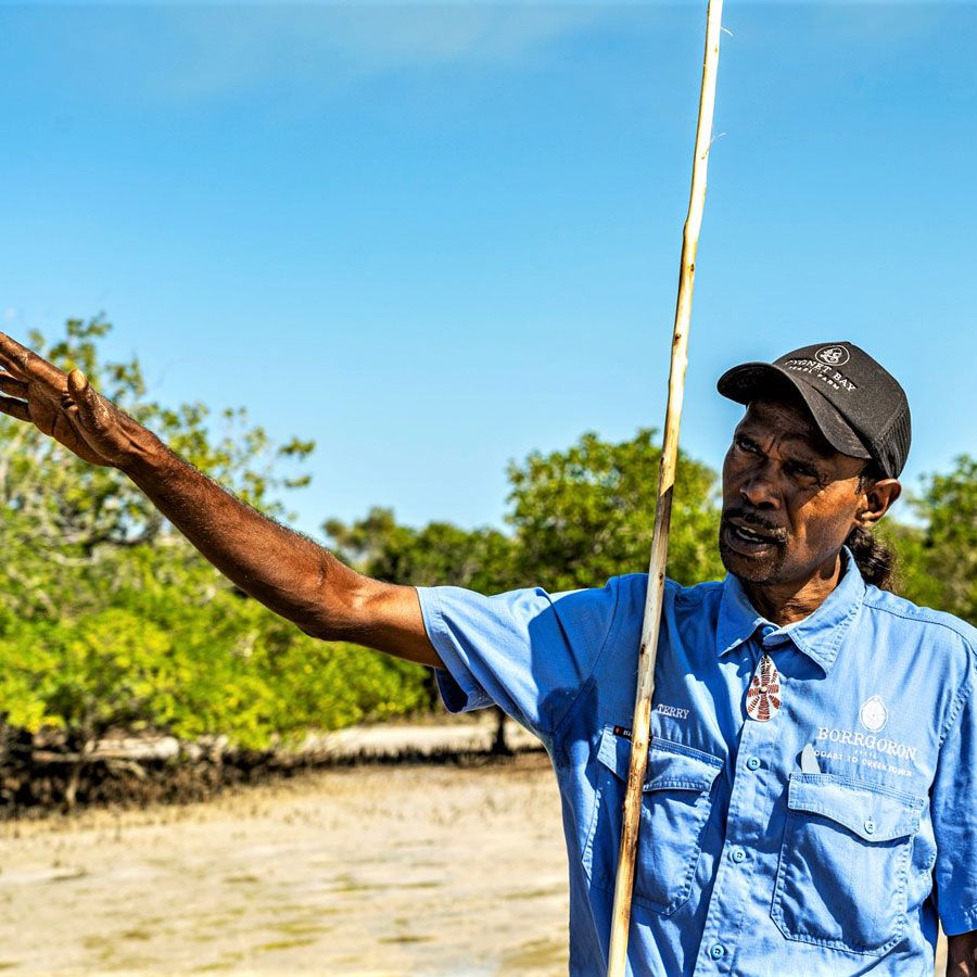 Borrgoron Coast to  Creek Tours